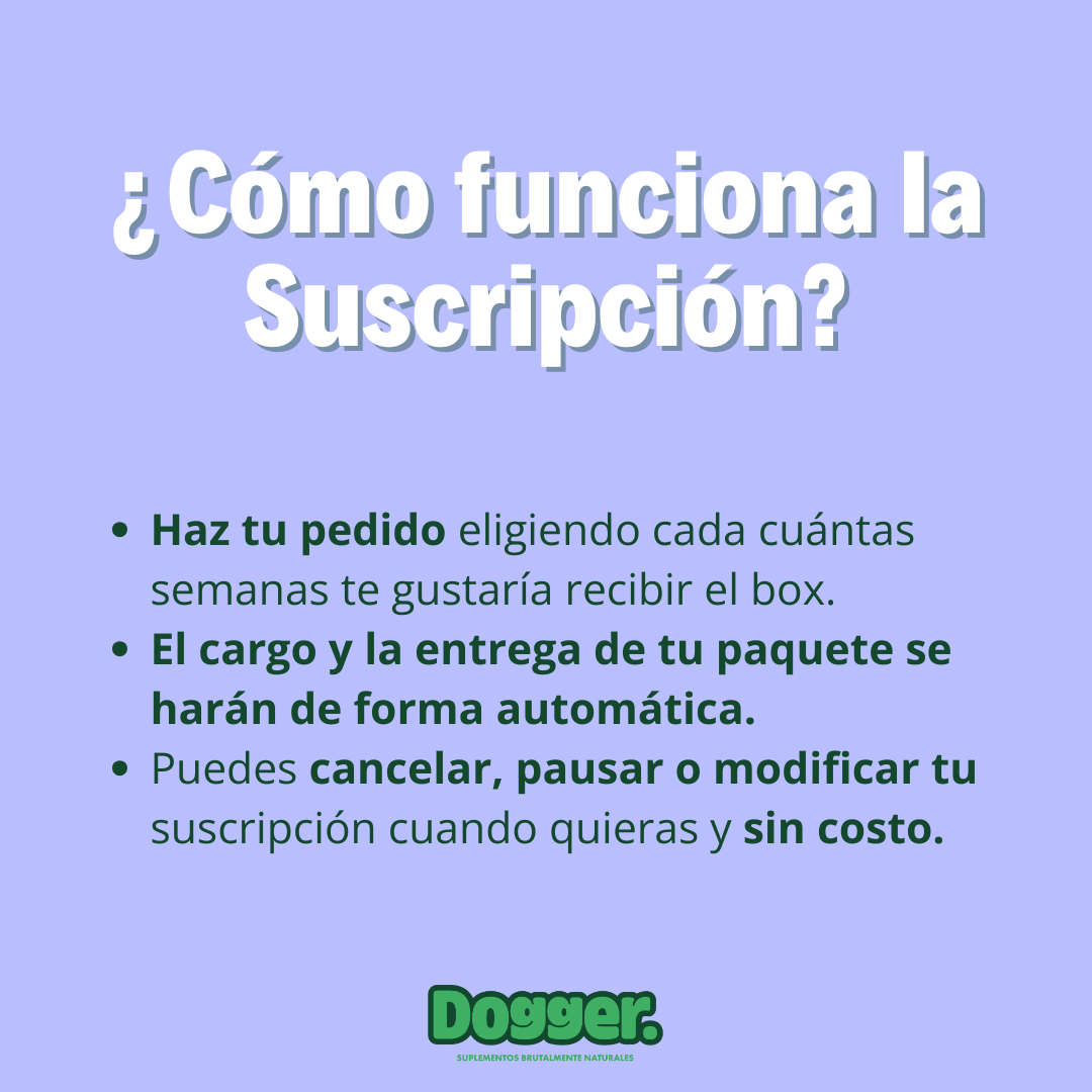 Relax Box Razas Grandes - Reduce su estrés