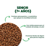 Cargar imagen en el visor de la galería, Croquetas para Perros Senior (+7 años) | Soporte para Articulaciones y Envejecimiento Saludable - Husse Senior
