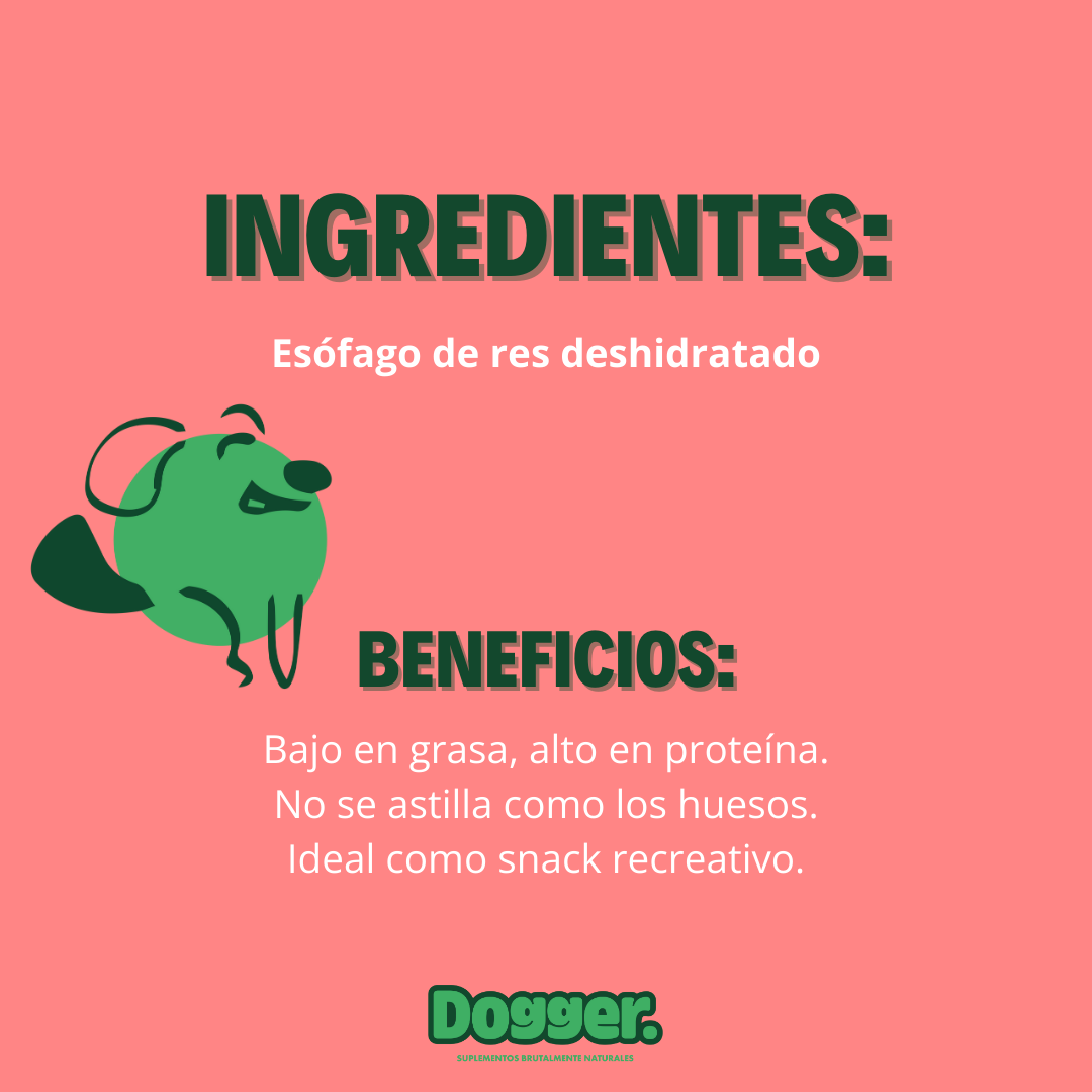 Mega-Tira - Esófago de Res - Tira Recreativa