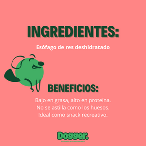Mega-Tira - Esófago de Res - Tira Recreativa