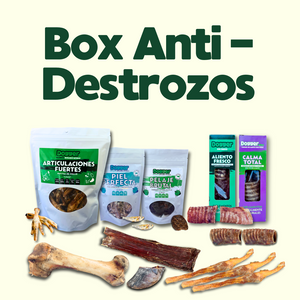 Kit Anti-Destrozos