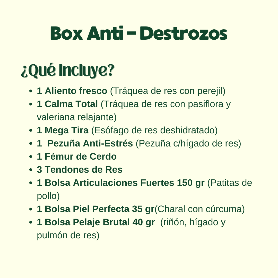 Kit Anti-Destrozos