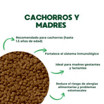 Cargar imagen en el visor de la galería, Croquetas para Perros Cachorros (Hasta 1.5 años) y Madres Gestantes | Digestión Sensible -  Husse Valp Digest

