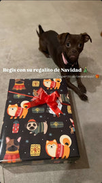 Cargar imagen en el visor de la galería, Christmas Box
